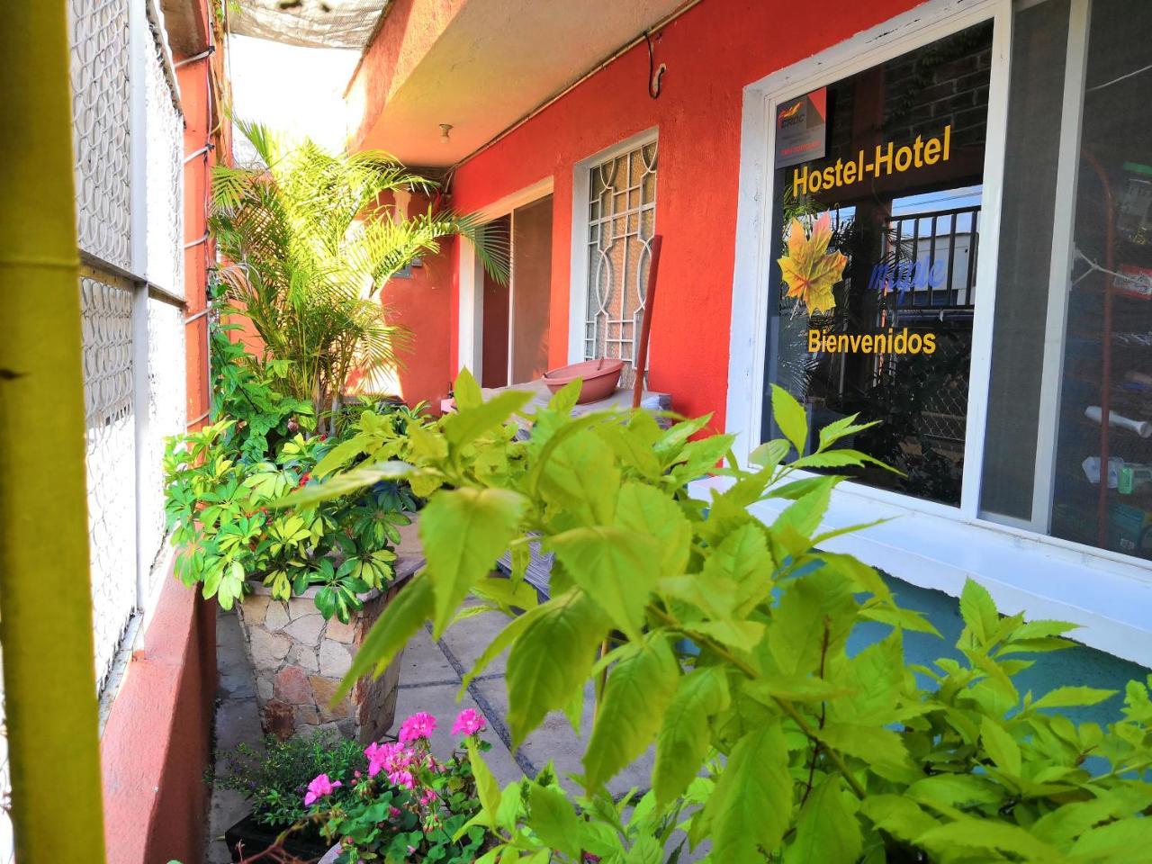 Hostal Maple Queretaro Exterior photo